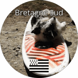 Chien allongé sur une planche de surf à Plouharnel, dans la baie de Quiberon, sous le soleil de Bretagne sud avec le drapeau breton en bas de l’image