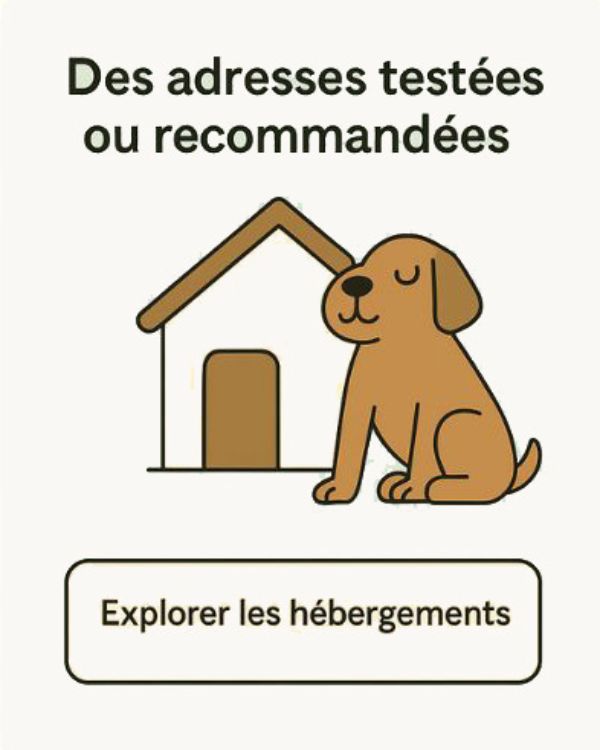 Illustration d’un chien assis devant une maison, accompagnée du texte “Des adresses testées ou recommandées” et d’un bouton “Explorer les hébergements”.