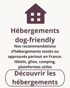 Icône de maison et texte “Hébergements dog-friendly” présentant une sélection d’hôtels, gîtes et campings testés et approuvés pour accueillir les chiens.