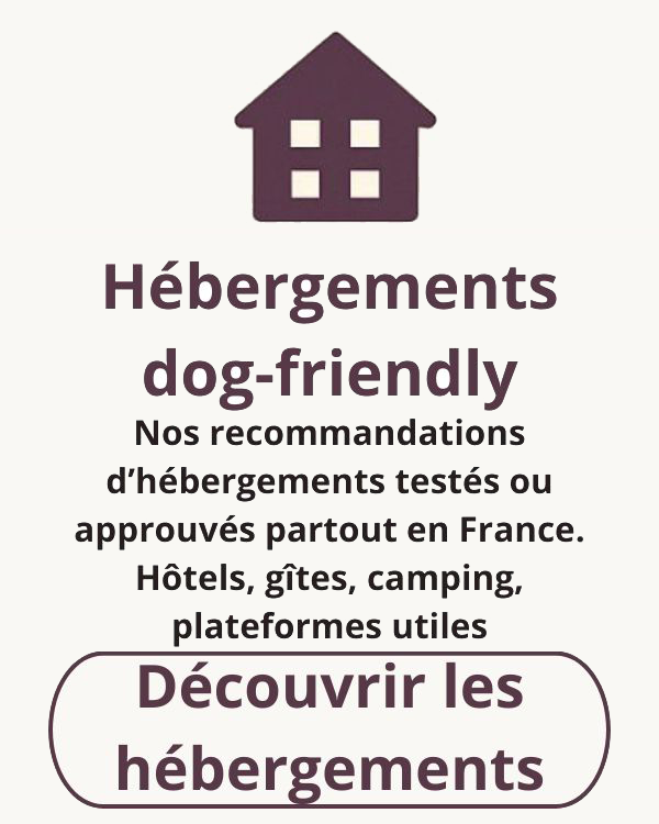 Icône de maison et texte “Hébergements dog-friendly” présentant une sélection d’hôtels, gîtes et campings testés et approuvés pour accueillir les chiens.