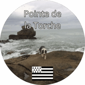 Chien sur un rocher face à la mer agitée à la Pointe de la Torche en Bretagne, ciel nuageux, drapeau breton en bas de l’image