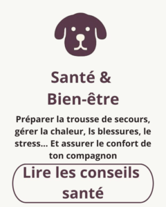 Icône de tête de chien et texte “Santé & Bien-être” avec des conseils sur la trousse de secours, la gestion du stress, de la chaleur et du confort du chien en voyage.
