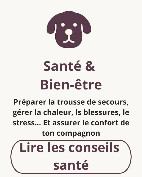 Icône de tête de chien et texte “Santé & Bien-être” avec des conseils sur la trousse de secours, la gestion du stress, de la chaleur et du confort du chien en voyage.