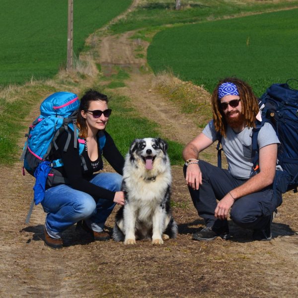 En route tous les trois Couple de randonneurs avec sacs à dos posant avec leur chien sur un chemin de campagne entouré de champs verdoyants, lors d’une pause en pleine nature.