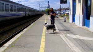 Homme avec son chien sur le quai d’une gare européenne, prêt à prendre le train pour voyager