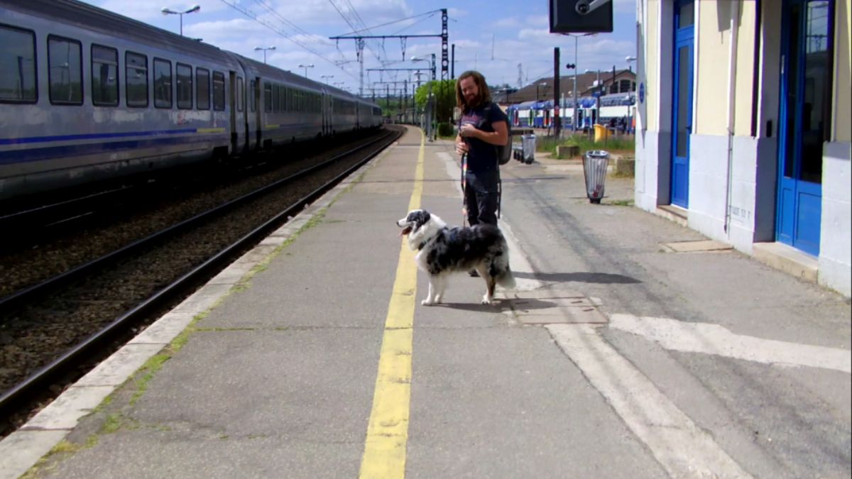 Homme avec son chien sur le quai d’une gare européenne, prêt à prendre le train pour voyager